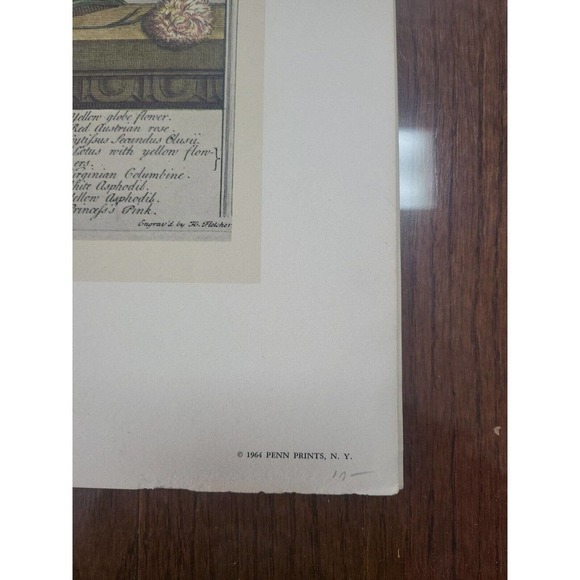 Rob Furber Gardiner Kensington 1730 Engraving by H Fletcher "May" Month Flowers - Picture 3 of 5